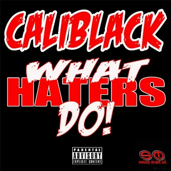 What Haters Do by Caliblack