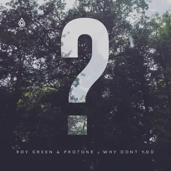 Why Don't You - EP by RoyGreen & Protone