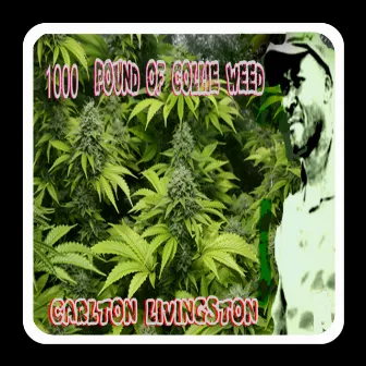 1000 Pound of Collie Weed by Carlton Livingston