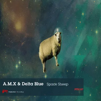 Space Sheep by A.M.X