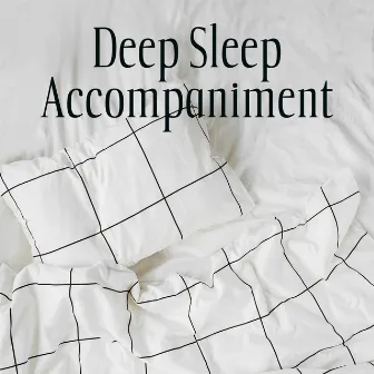 Deep Sleep Accompaniment by Rita Chakram