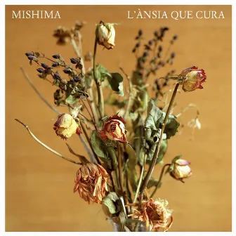 L'ànsia que cura by Mishima