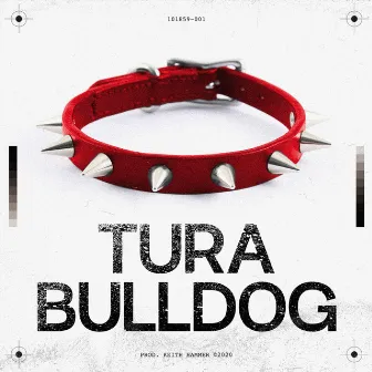 Bulldog by Tura