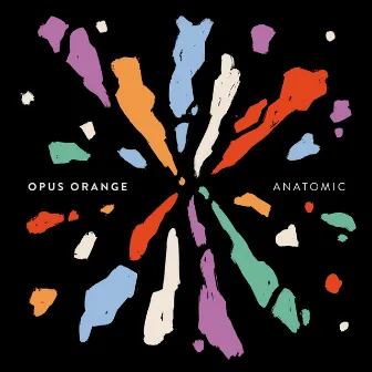 Anatomic by Opus Orange