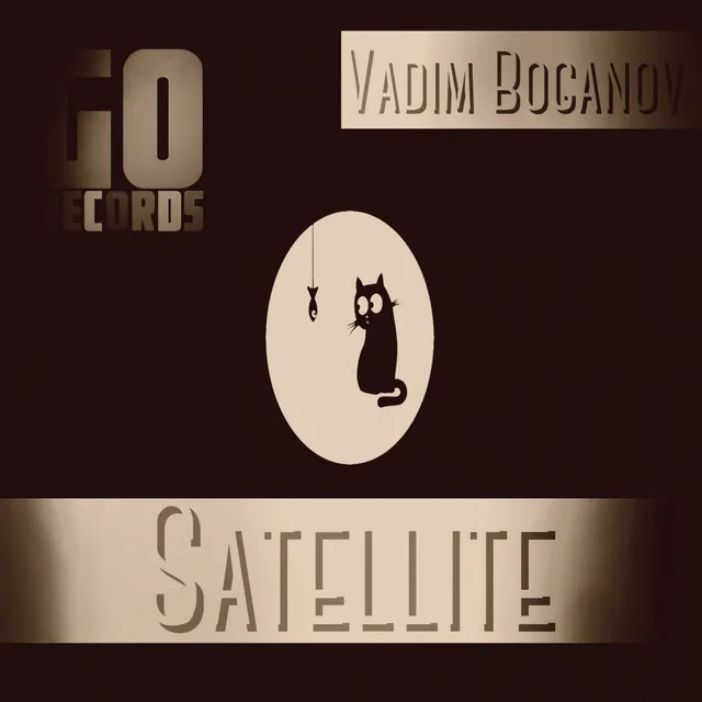 Satellite