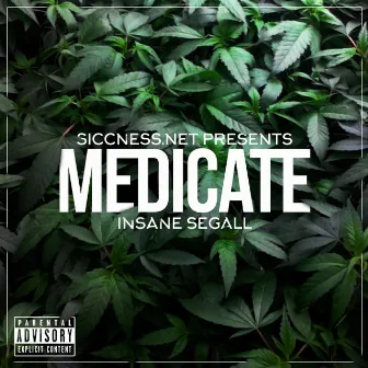 Medicate - EP by Insane Segall