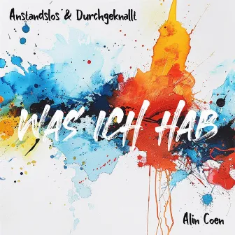 Was ich hab by Alin Coen