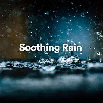 Soothing Rain by Recording Nature