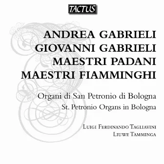 A. Gabrieli & G. Gabrieli: Organ Works by Luigi Ferdinando Tagliavini