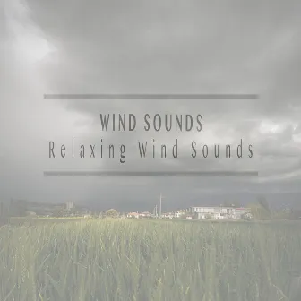 Relaxing Wind Sounds by Wind Sounds