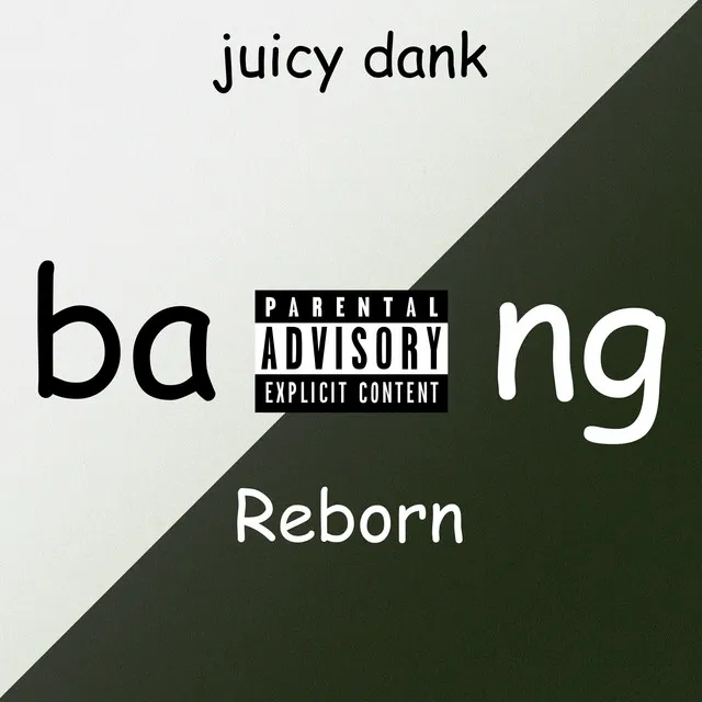 bang Reborn