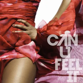 Can U Feel It by Unknown Artist