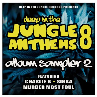 Deep In The Jungle Anthems 8 - LP Sampler 2 by Charlie B