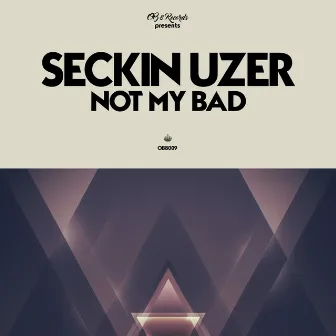 Not My Bad by Seckin Uzer