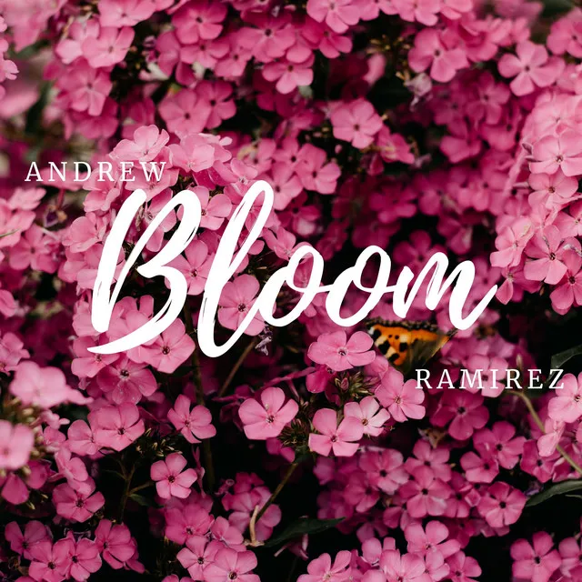 Bloom