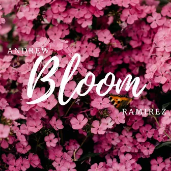 Bloom by Andrew Ramirez