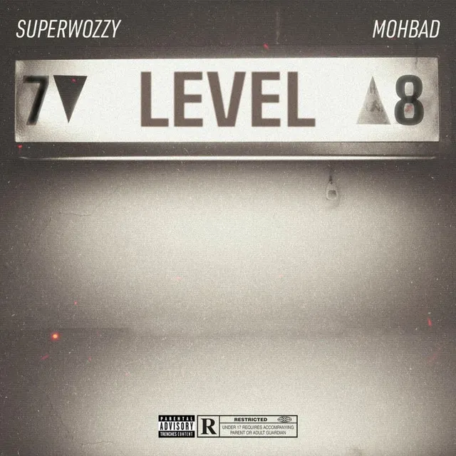 Level