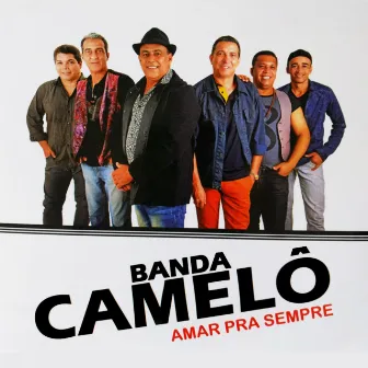 Amar pra Sempre by Banda Camelô