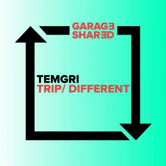 Trip/ Different by Temgri