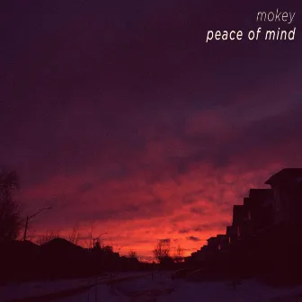 Peace of Mind by Mokey