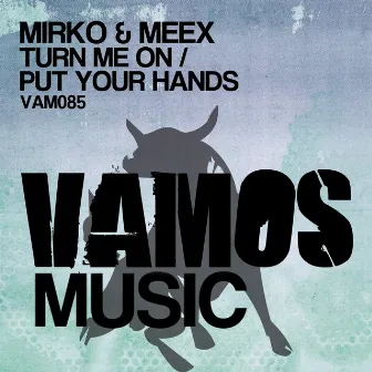 Turn Me On / Put Your Hands by Meex