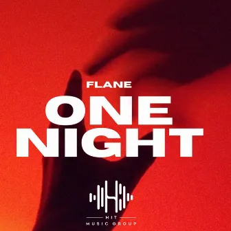 One Night by Flane