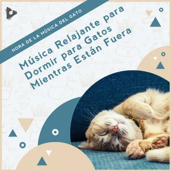 Música Relajante para Dormir para Gatos Mientras Están Fuera by Hora de la Música del Gato