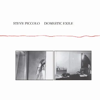 Domestic Exile by Steve Piccolo