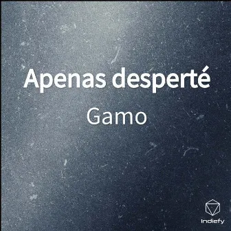 Apenas desperté by Gamo