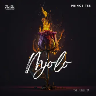 Mjolo by Prince Tee