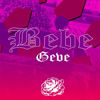 Bebe by GEBE