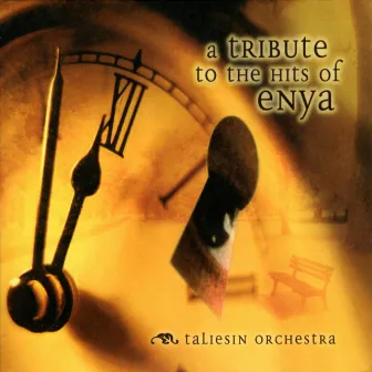 An Instrumental Tribute To The Hits Of Enya by Taliesin Orchestra