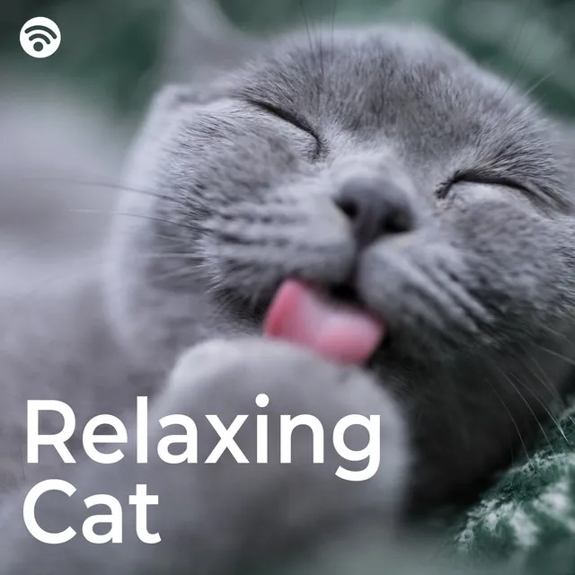 Relaxing Cat