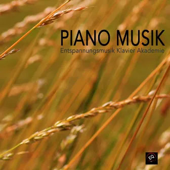 Piano Musik - Entspannungsmusik Klavier, Beruhigende Klänge by Entspannungsmusik Klavier Akademie