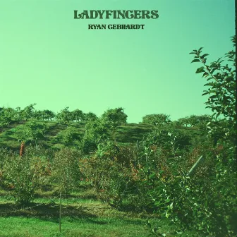 Ladyfingers by Ryan Gebhardt