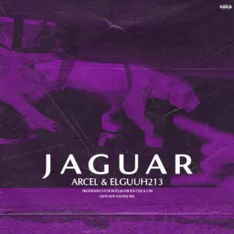 Jaguar by Arcel