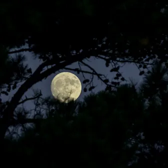 Moon Plant by EMI