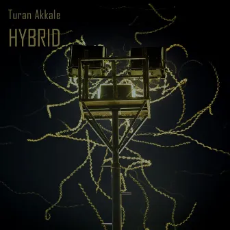 Hybrid by Babafonik