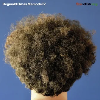 Stand Strong by Reginald Omas Mamode IV