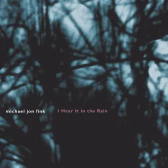 Fink: I Hear it in the Rain by Michael Jon Fink