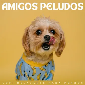 Amigos Peludos: Lofi Relajante Para Perros by Hora de música para perros