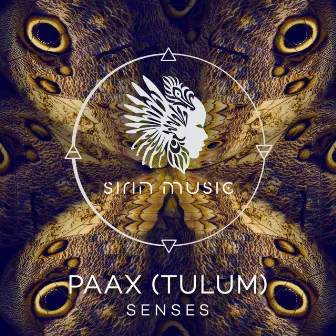 Senses by PAAX (Tulum)