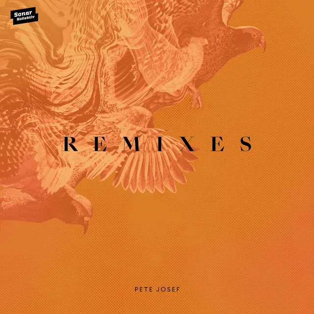 Remixes