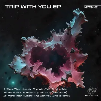 Trip With You ( Briska Remix) by More Than Human