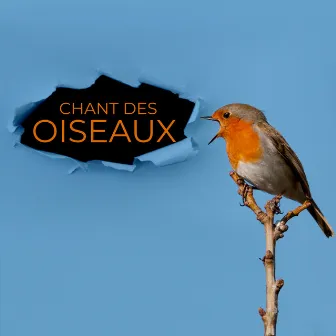 Chant des oiseaux - Musique apaisante qui apporte paix et harmonie by Musique pour Détendre en Temps Libre