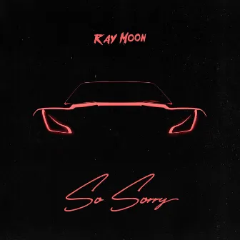 So Sorry by Ray Moon