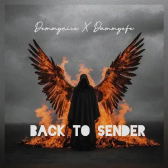 Back To Sender by Demmynice