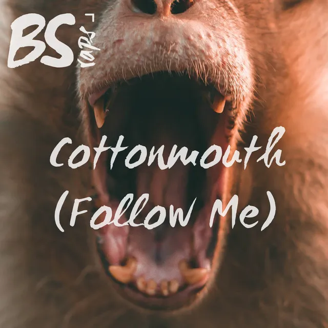 Cottonmouth (Follow Me)