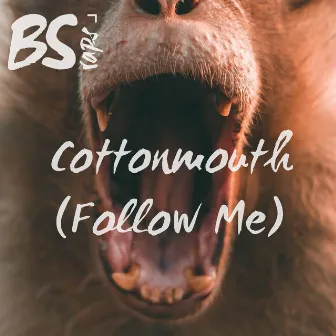 Cottonmouth (Follow Me) by BS Raps