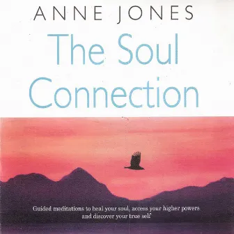 The Soul Connection by Anne Jones